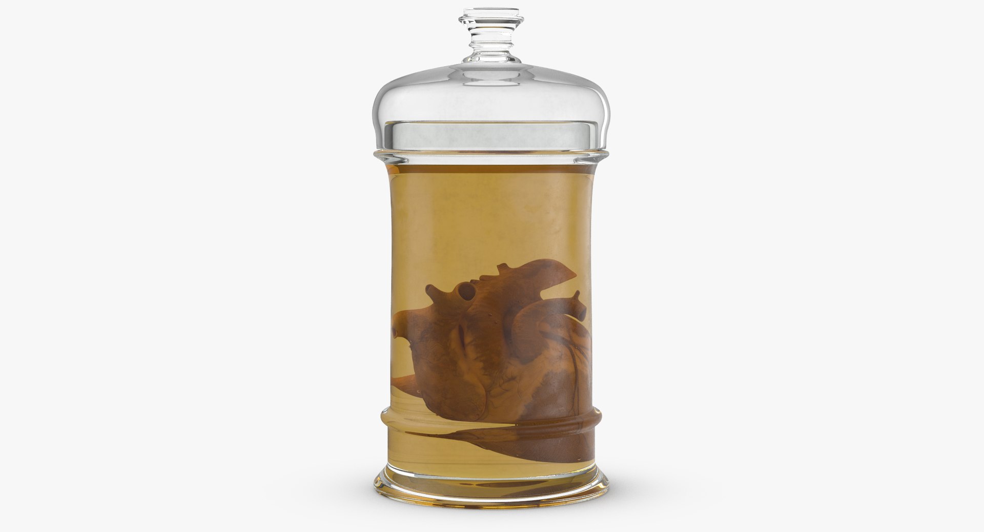 3d vintage jars - organ model https://p.turbosquid.com/ts-thumb/IB/KZ0ewD/jtvFKDkw/vintage_organ_jar_heart_thumbnail_0007/jpg/1481710574/1920x1080/fit_q87/7789b6ae9eb6e841763c59cf7b416db9f43d0b67/vintage_organ_jar_heart_thumbnail_0007.jpg