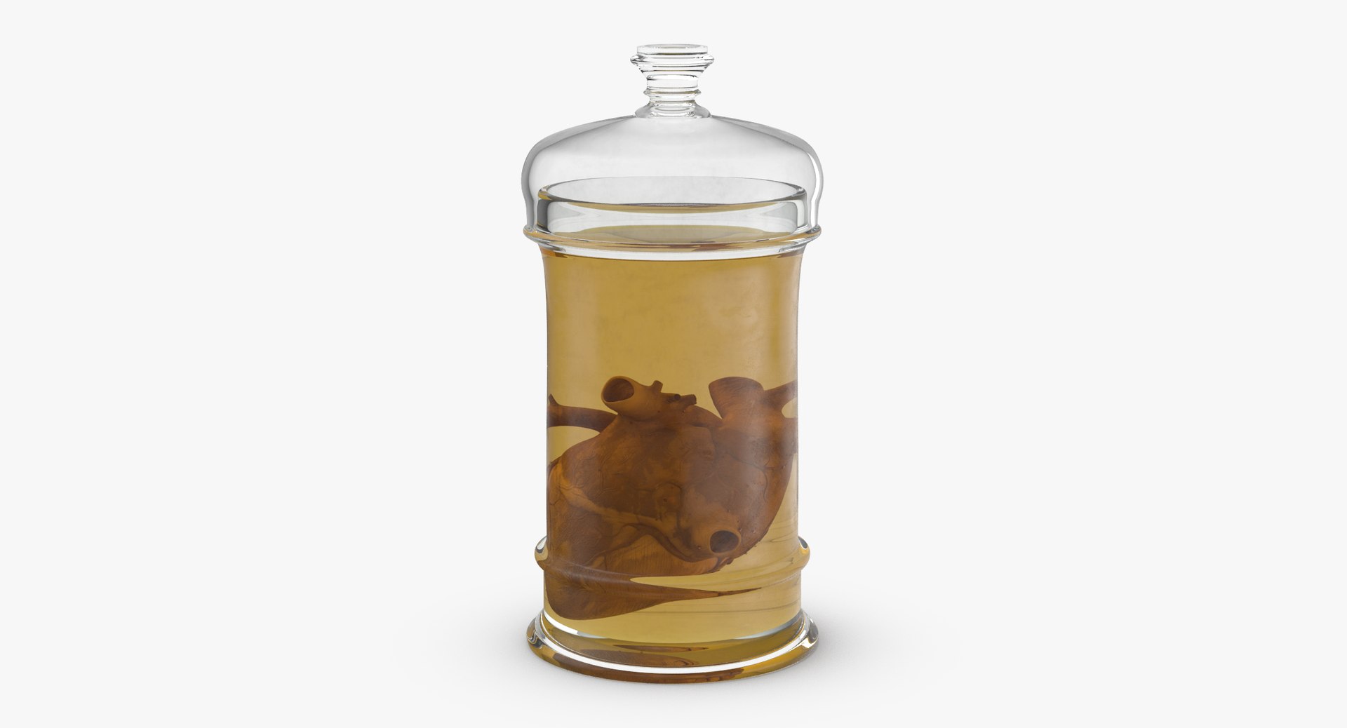 3d vintage jars - organ model https://p.turbosquid.com/ts-thumb/IB/KZ0ewD/keMnlzcO/vintage_organ_jar_heart_thumbnail_0003/jpg/1481710574/1920x1080/fit_q87/df7f0caba50adf41922243796fcf33841e59ddd5/vintage_organ_jar_heart_thumbnail_0003.jpg