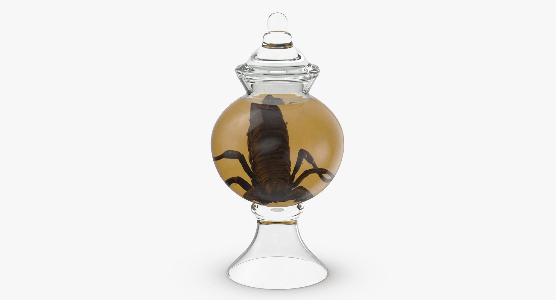 3d vintage jars - organ model https://p.turbosquid.com/ts-thumb/IB/KZ0ewD/oqmMxr3g/vintage_specimen_jar_scorpion_thumbnail_0003/jpg/1481709547/1920x1080/fit_q87/8d3803406cc213e267d08cfc8a1a850fe4b46dbd/vintage_specimen_jar_scorpion_thumbnail_0003.jpg