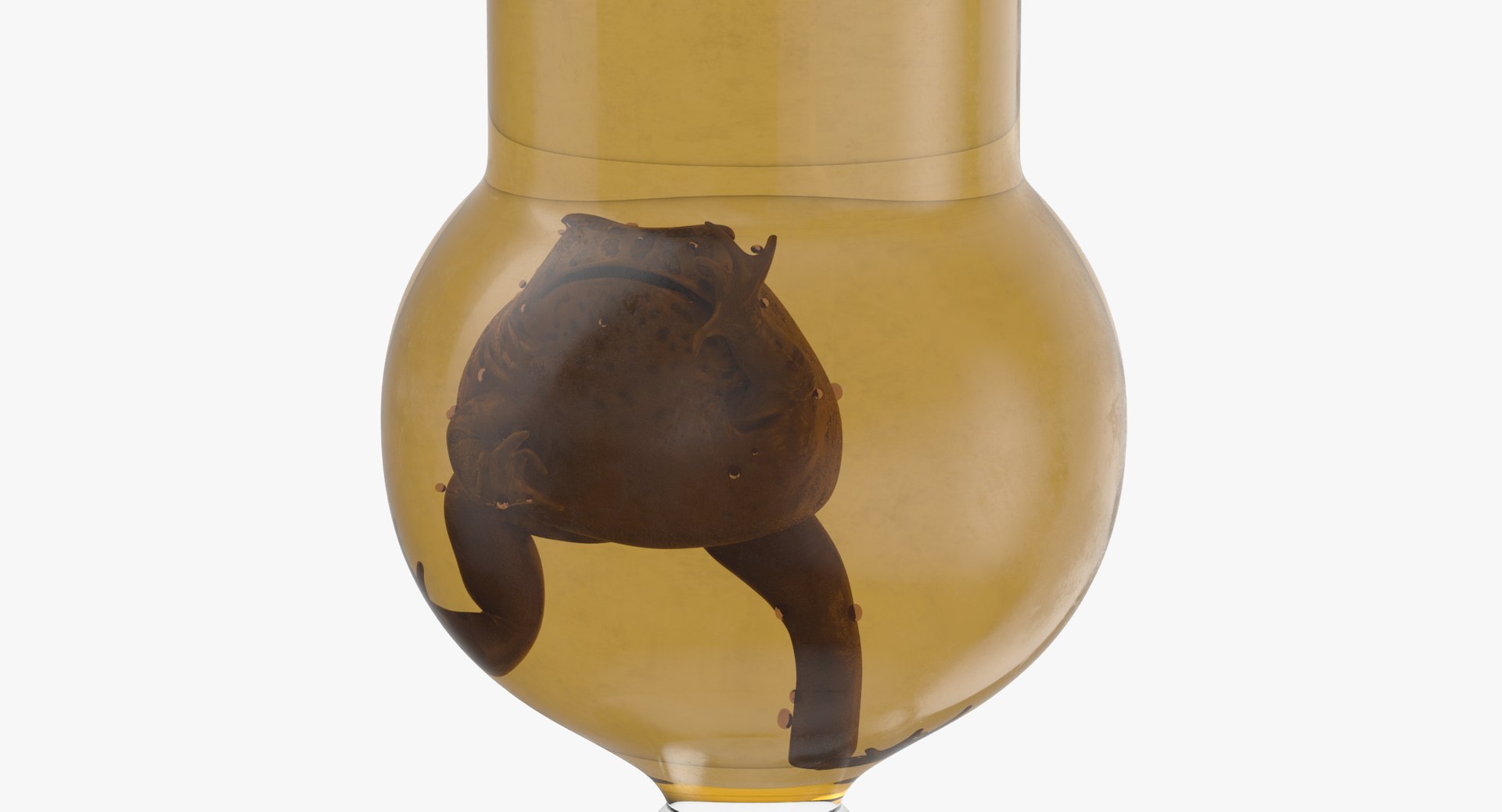 3d vintage jars - organ model https://p.turbosquid.com/ts-thumb/IB/KZ0ewD/pYGEUXOT/vintage_specimen_jar_frog_thumbnail_0007/jpg/1481708293/1920x1080/fit_q87/32b7506265c0499dfcfbfb7db17702df60f4d33c/vintage_specimen_jar_frog_thumbnail_0007.jpg