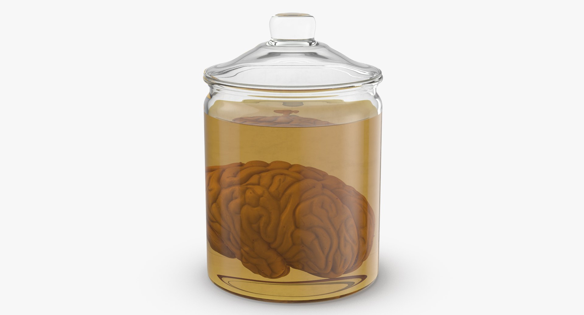 3d vintage jars - organ model https://p.turbosquid.com/ts-thumb/IB/KZ0ewD/pejBwzGP/vintage_jars_with_organs_brain_thumbnail_0007/jpg/1481710206/1920x1080/fit_q87/8c80bd8bef66463c2981bd7d2fdf5d53c2fe6511/vintage_jars_with_organs_brain_thumbnail_0007.jpg