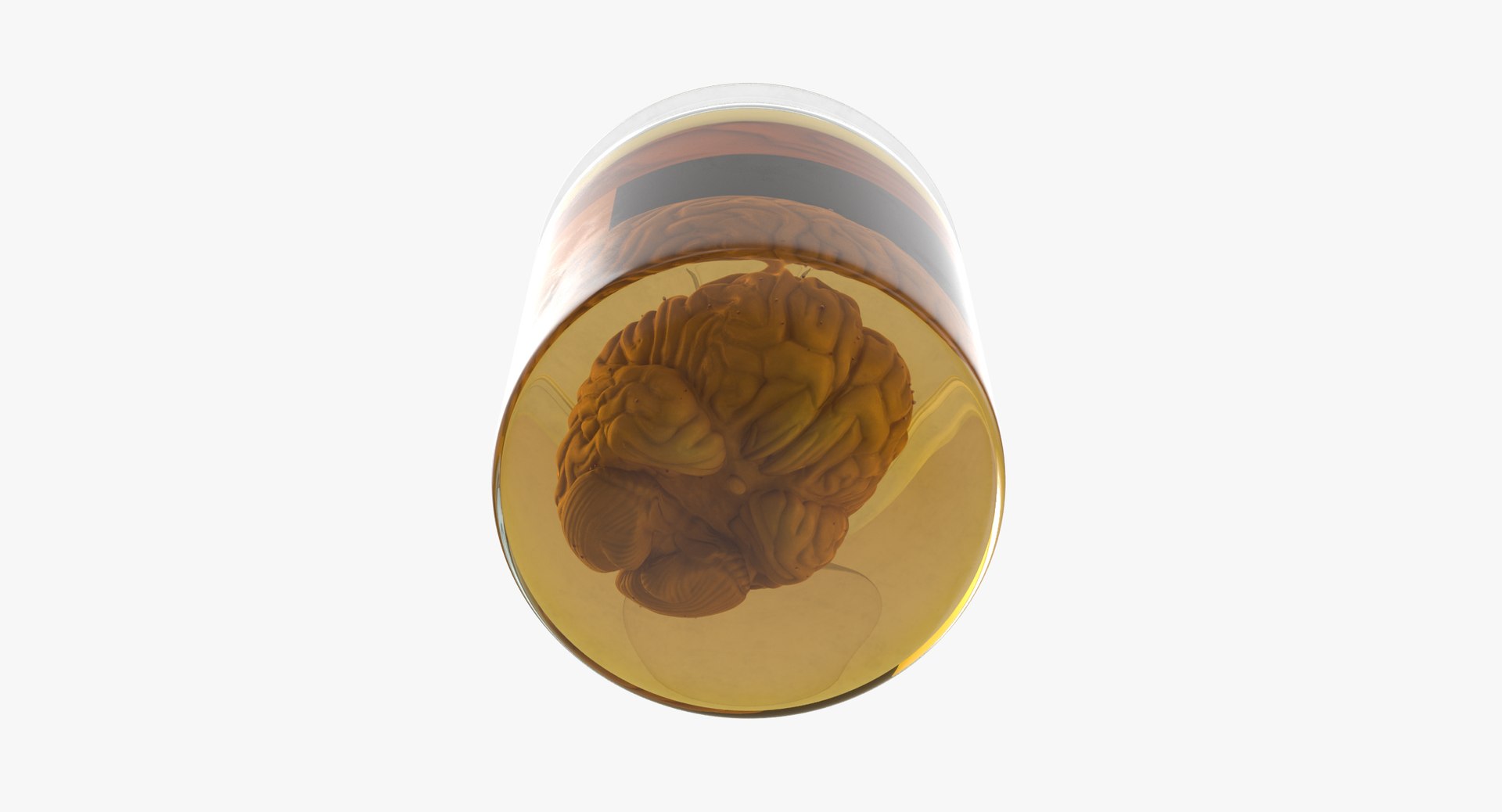 3d vintage jars - organ model https://p.turbosquid.com/ts-thumb/IB/KZ0ewD/sXrcJFbB/vintage_jars_with_organs_brain_thumbnail_0006/jpg/1481710205/1920x1080/fit_q87/a59973fe928d23dda8ff24d03279d33dfe0d0c47/vintage_jars_with_organs_brain_thumbnail_0006.jpg