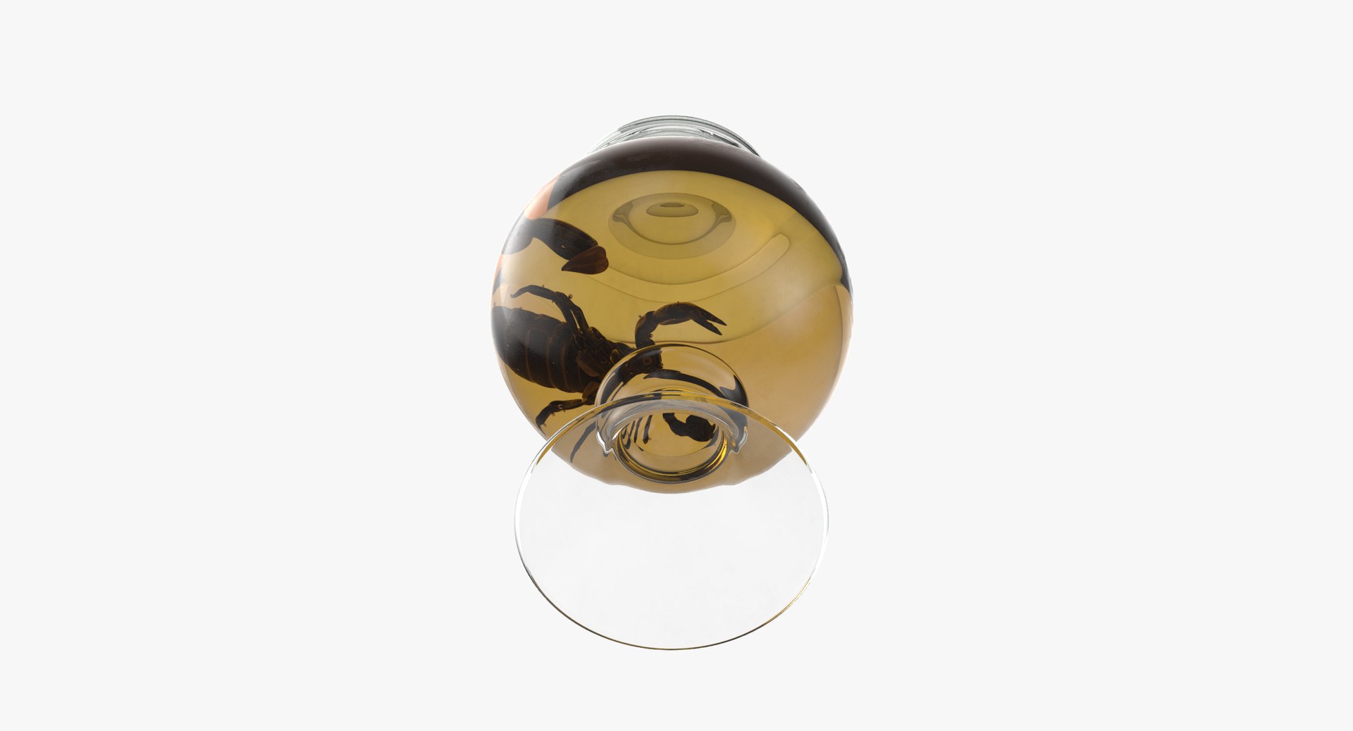 3d vintage jars - organ model https://p.turbosquid.com/ts-thumb/IB/KZ0ewD/uYtwrVVI/vintage_specimen_jar_scorpion_thumbnail_0006/jpg/1481709547/1920x1080/fit_q87/63b3aaf7bf144b211584f5ac918c9f3733a1c613/vintage_specimen_jar_scorpion_thumbnail_0006.jpg