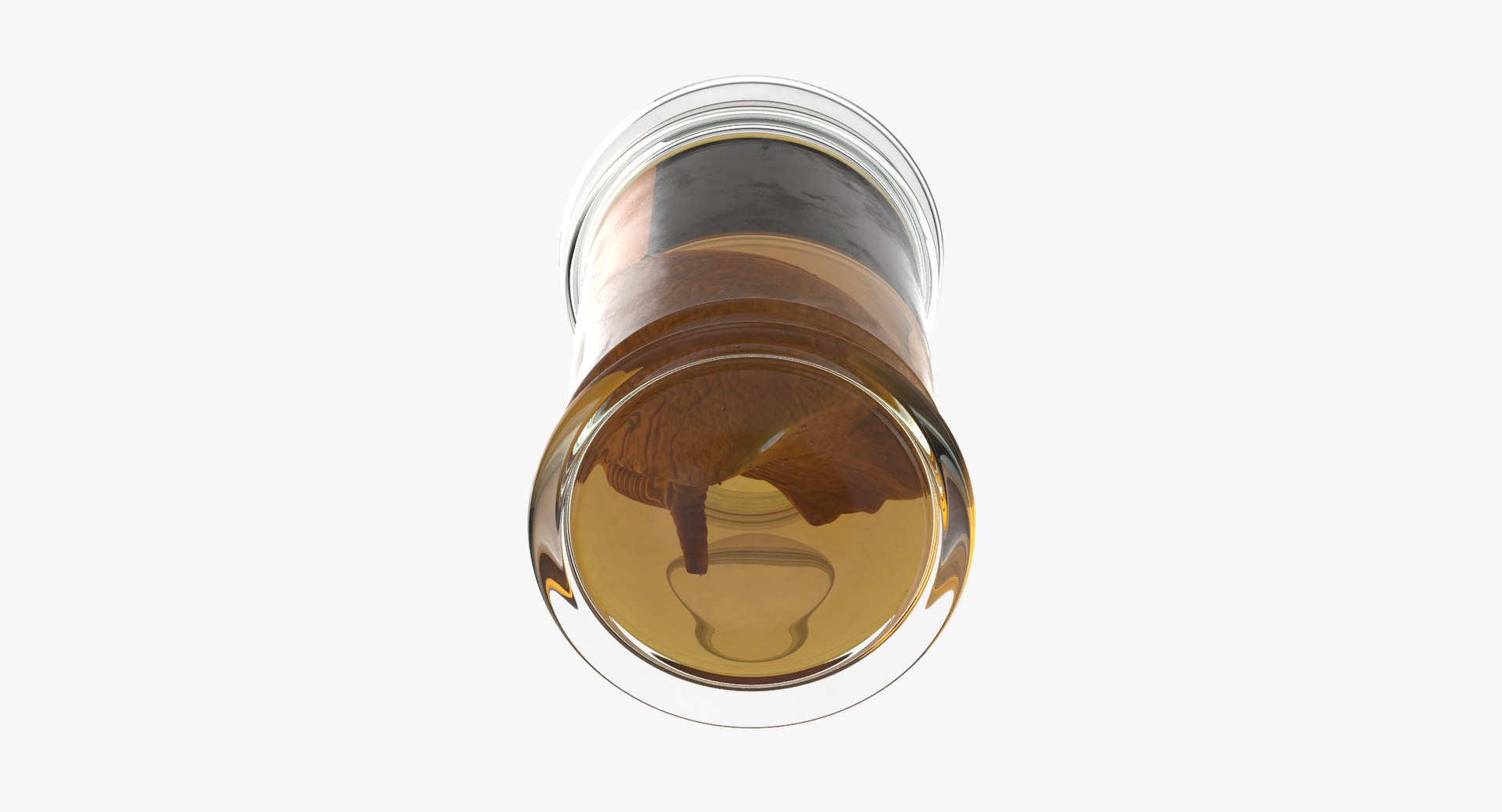 3d vintage jars - organ model https://p.turbosquid.com/ts-thumb/IB/KZ0ewD/wivYvxXL/vintage_organ_jar_lung_thumbnail_0006/jpg/1481711395/1920x1080/fit_q87/e33a91a2c95288fe0fa4d16c74c61099b0617efa/vintage_organ_jar_lung_thumbnail_0006.jpg