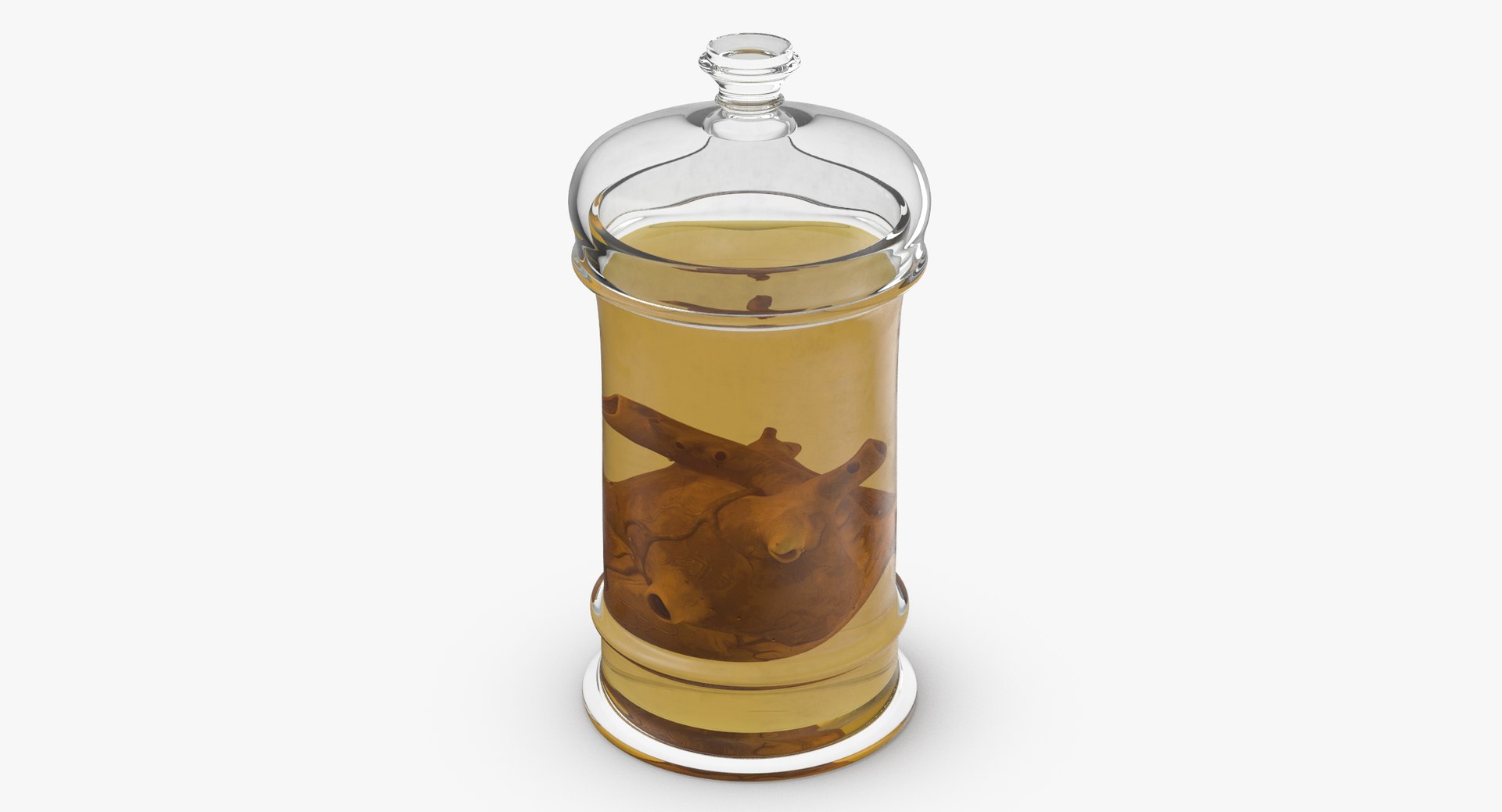 3d vintage jars - organ model https://p.turbosquid.com/ts-thumb/IB/KZ0ewD/wv0IDp7P/vintage_organ_jar_heart_thumbnail_0004/jpg/1481710574/1920x1080/fit_q87/ad1b826e59f826bdab6c64553b78e349ebd9524c/vintage_organ_jar_heart_thumbnail_0004.jpg