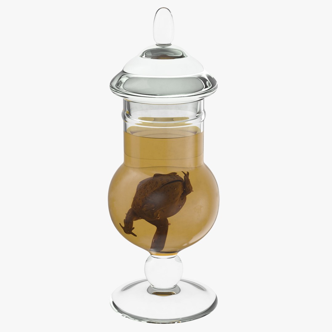 3d vintage jars - organ model https://p.turbosquid.com/ts-thumb/IB/KZ0ewD/xaPrUpWr/vintage_specimen_jar_frog_thumbnail_square0000/jpg/1481708293/1920x1080/fit_q87/efb8a533f98515a28f1aa1950b743dda0ee5613f/vintage_specimen_jar_frog_thumbnail_square0000.jpg