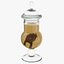 Vintage Jars - Organs and Speciments