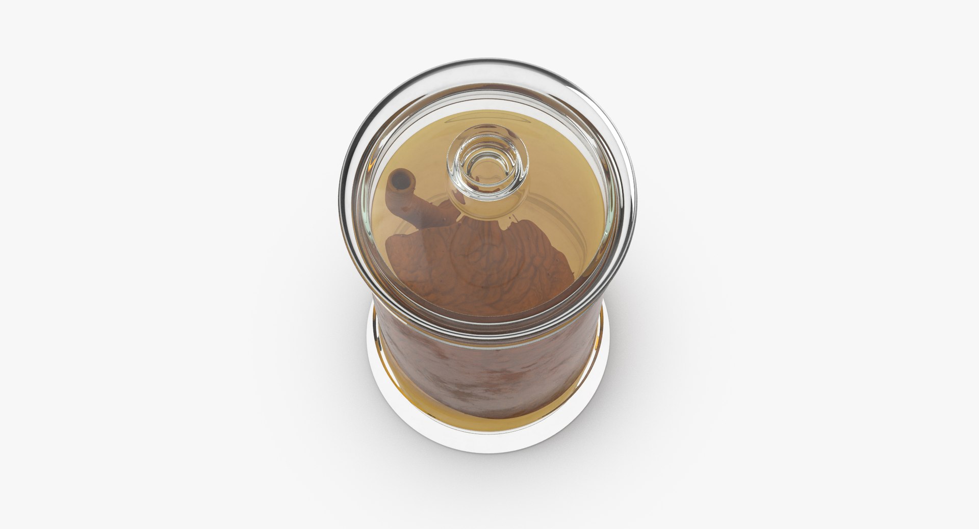 3d vintage jars - organ model https://p.turbosquid.com/ts-thumb/IB/KZ0ewD/zUEwGYZW/vintage_organ_jar_lung_thumbnail_0005/jpg/1481711395/1920x1080/fit_q87/c53d36a328d7451ebd456135b59dfae2276e4650/vintage_organ_jar_lung_thumbnail_0005.jpg