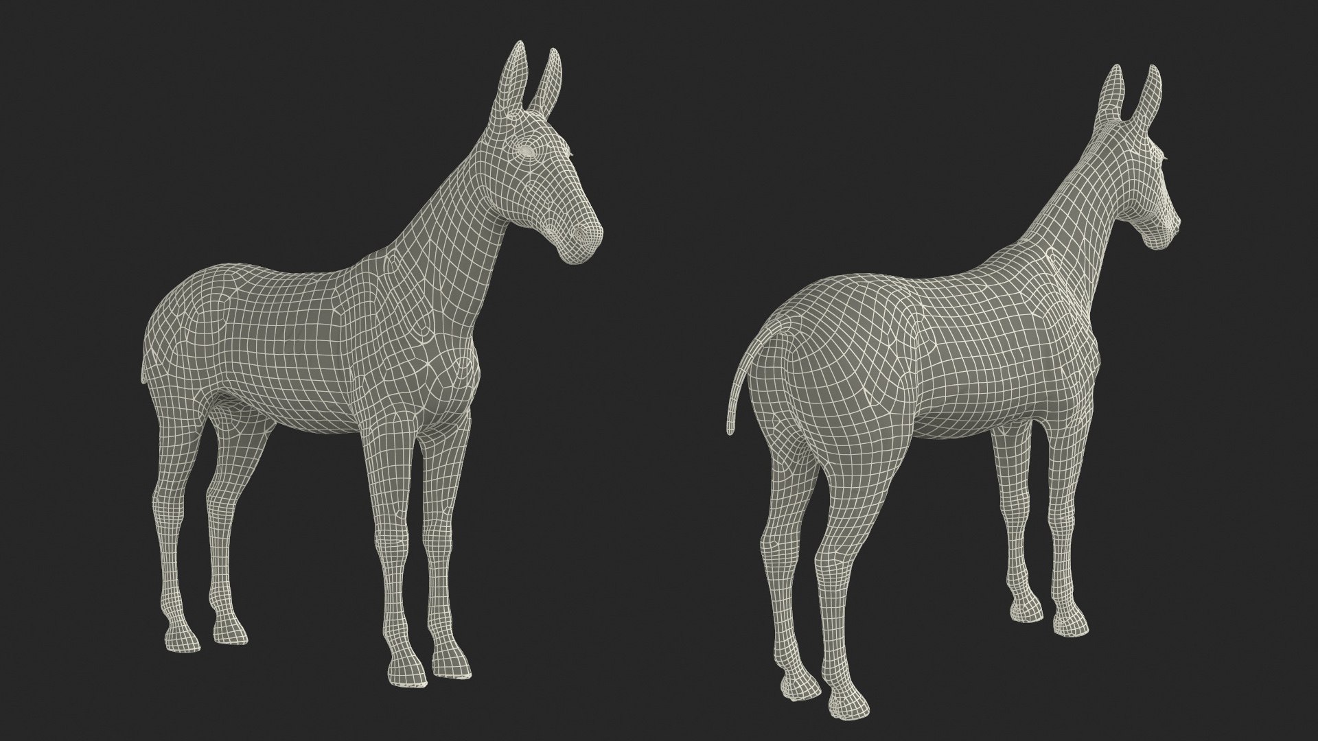 3D Mule Dark Rigged model https://p.turbosquid.com/ts-thumb/IB/P4DqzE/ct/mule_dark_rigged_029/jpg/1730411971/1920x1080/fit_q87/24a99a3fa78944fb79273558abb4d53dbddb7728/mule_dark_rigged_029.jpg