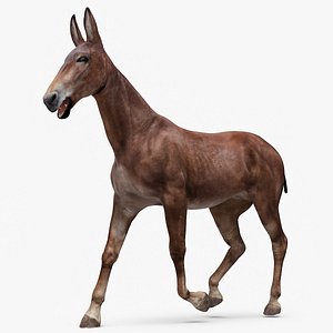 Mule Dark Rigged