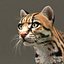 3d model ocelot cat fur