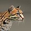 3d model ocelot cat fur