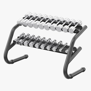 Technogym Chrome Dumbbells 3D model