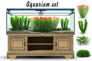 aquarium set 3d model