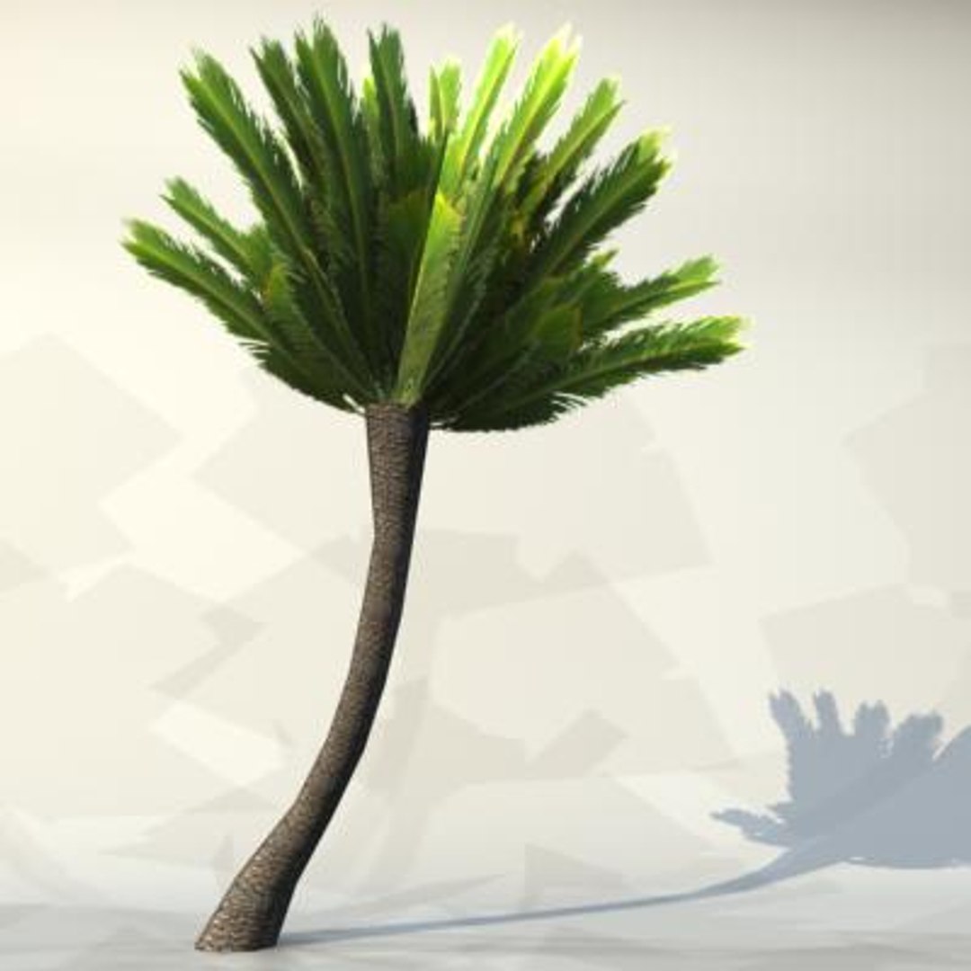 max pc palm https://p.turbosquid.com/ts-thumb/IB/nUpn7U/nMU7GGYV/palm_025_3/jpg/1243276311/1920x1080/fit_q87/9b498bb5d5e09214bef72ed35ec9de364f329de5/palm_025_3.jpg