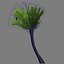 palm_025