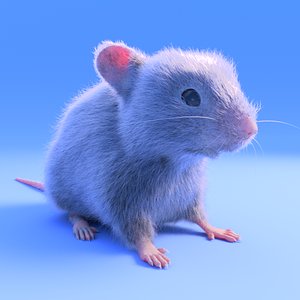 realistic white mouse - 3D model