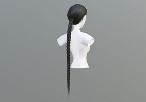 3D Braid Female Hairstyle