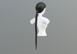 Braid Female Hairstyle