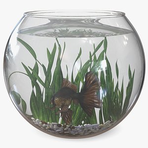 Round Aquarium with Black Moor Goldfish 3D