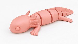 3D Flexi Articulated Axolotl