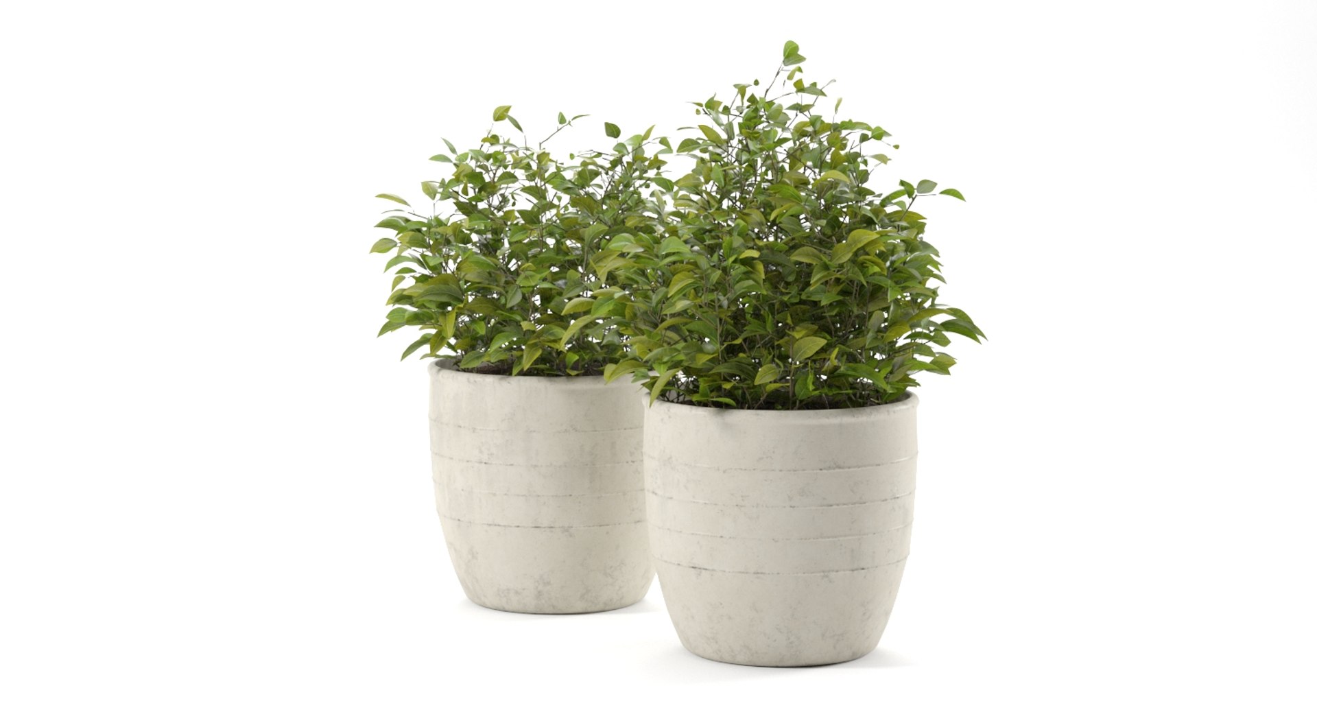 3D Realistic Outdoor Plant Pot - TurboSquid 1330729