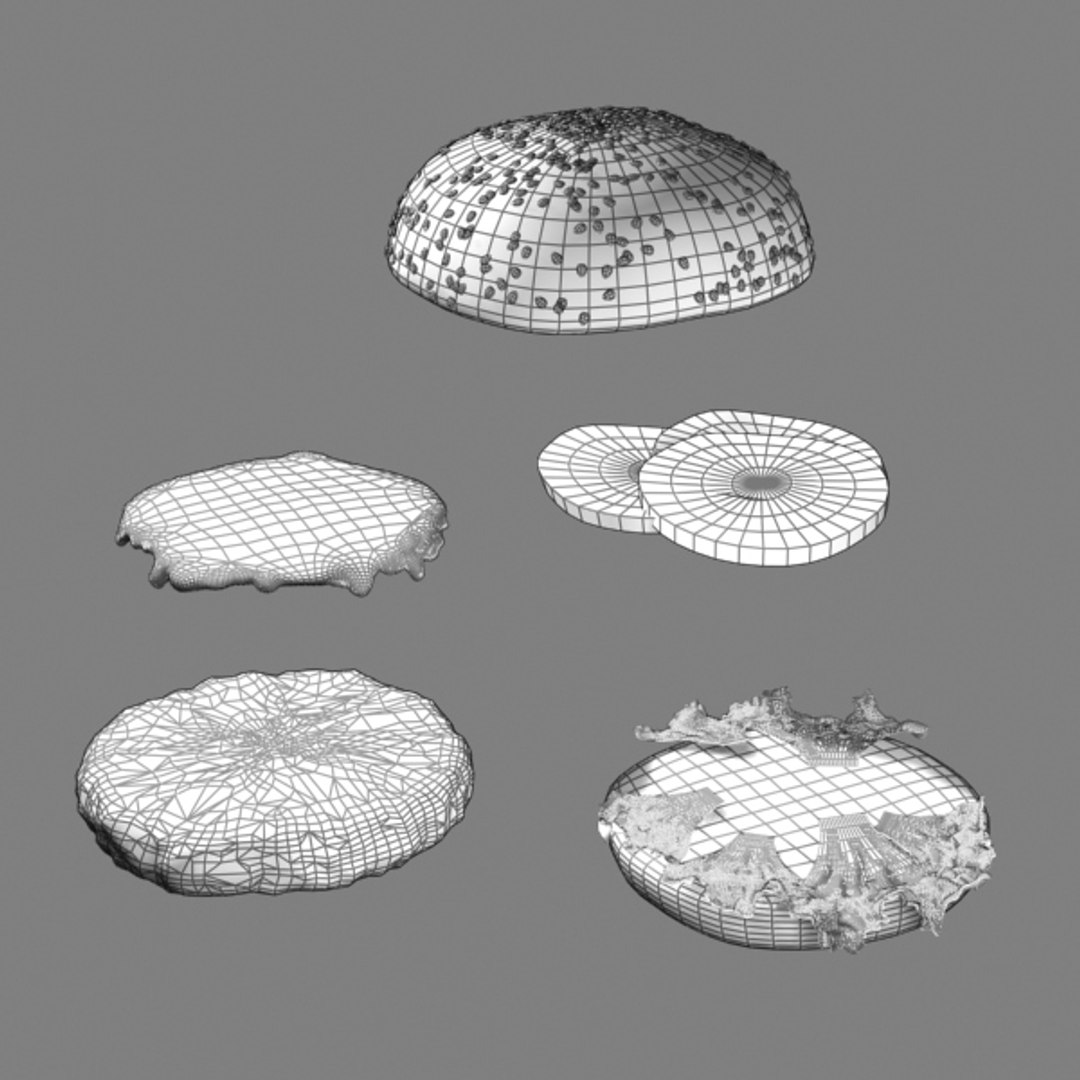 hamburger bread 3d 3ds https://p.turbosquid.com/ts-thumb/IC/O5FT40/f9lvyhmO/hburg_renderwire01/jpg/1317691721/1920x1080/fit_q87/8cf21105cc59bebaa48ce9f5ec73d0003d6b0d05/hburg_renderwire01.jpg