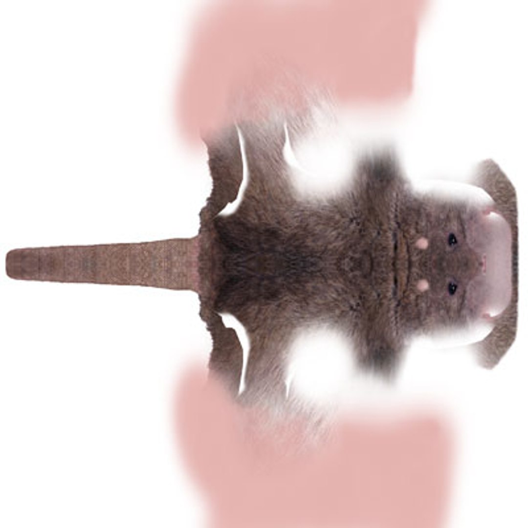 Rat 3d Model