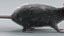 3D Norway Rat Static Xgen