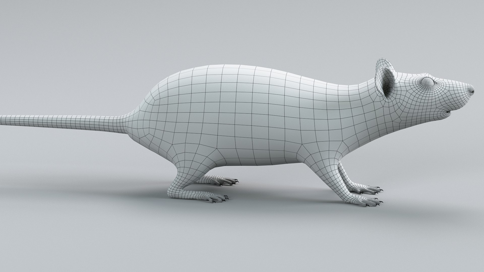 3D Norway Rat Static Xgen https://p.turbosquid.com/ts-thumb/IC/X1a8sx/Ct/norway_rat_static_23/jpg/1741614836/1920x1080/fit_q87/fb15e3f407076d8346e24e091fccb0aa0c8812e5/norway_rat_static_23.jpg
