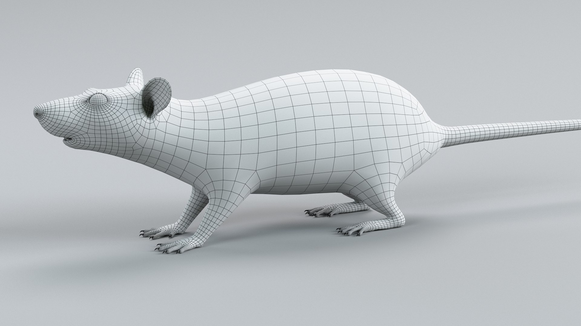 3D Norway Rat Static Xgen https://p.turbosquid.com/ts-thumb/IC/X1a8sx/MW/norway_rat_static_28/jpg/1741614843/1920x1080/fit_q87/6a9caa4a9e5fdc591ef442d1e874dcfe896d0834/norway_rat_static_28.jpg