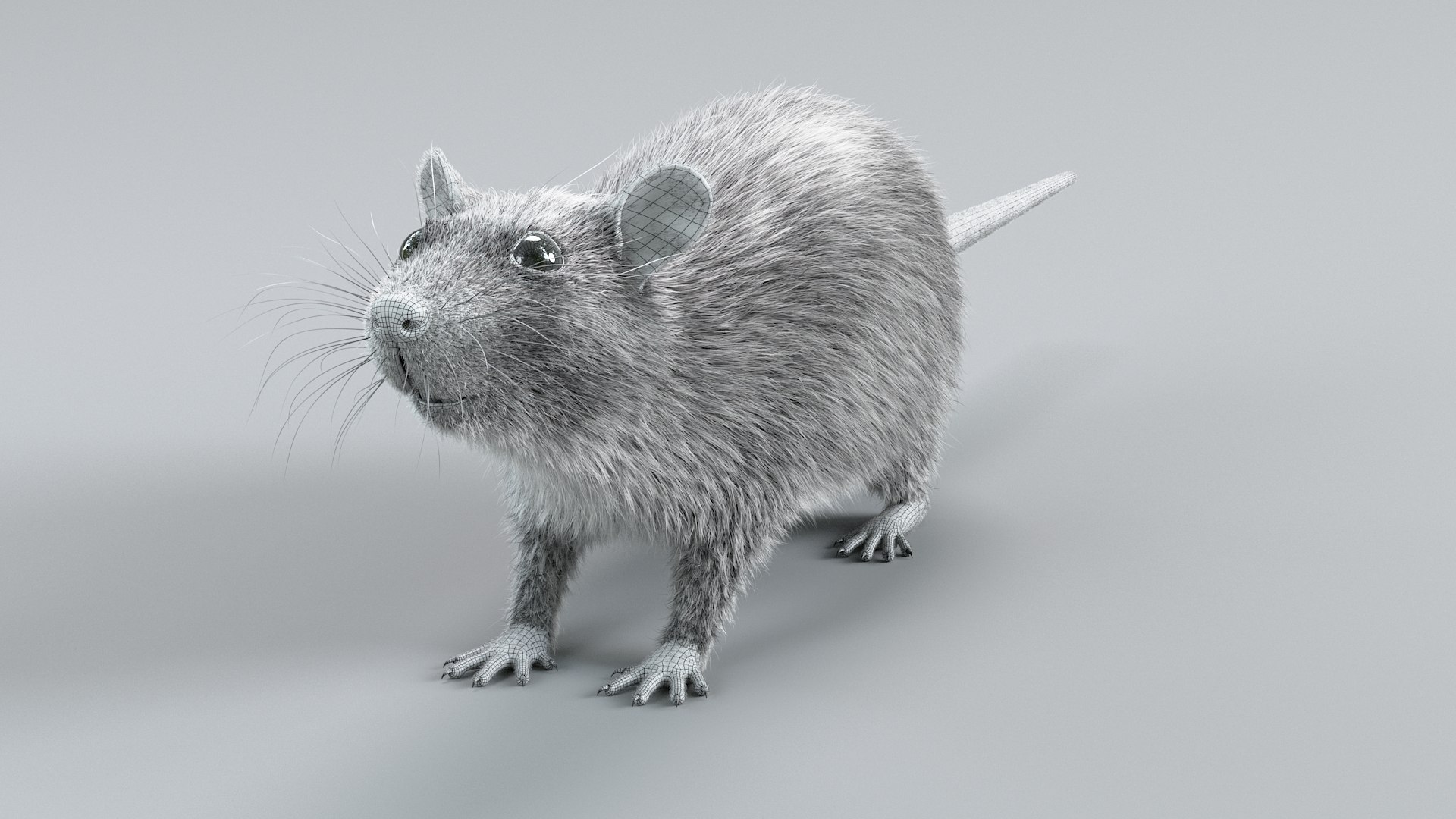3D Norway Rat Static Xgen https://p.turbosquid.com/ts-thumb/IC/X1a8sx/Vf/norway_rat_static_19/jpg/1741614831/1920x1080/fit_q87/460ed63b84cc6c3078507ecf326a257bcbc05d9a/norway_rat_static_19.jpg