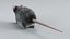 3D Norway Rat Static Xgen