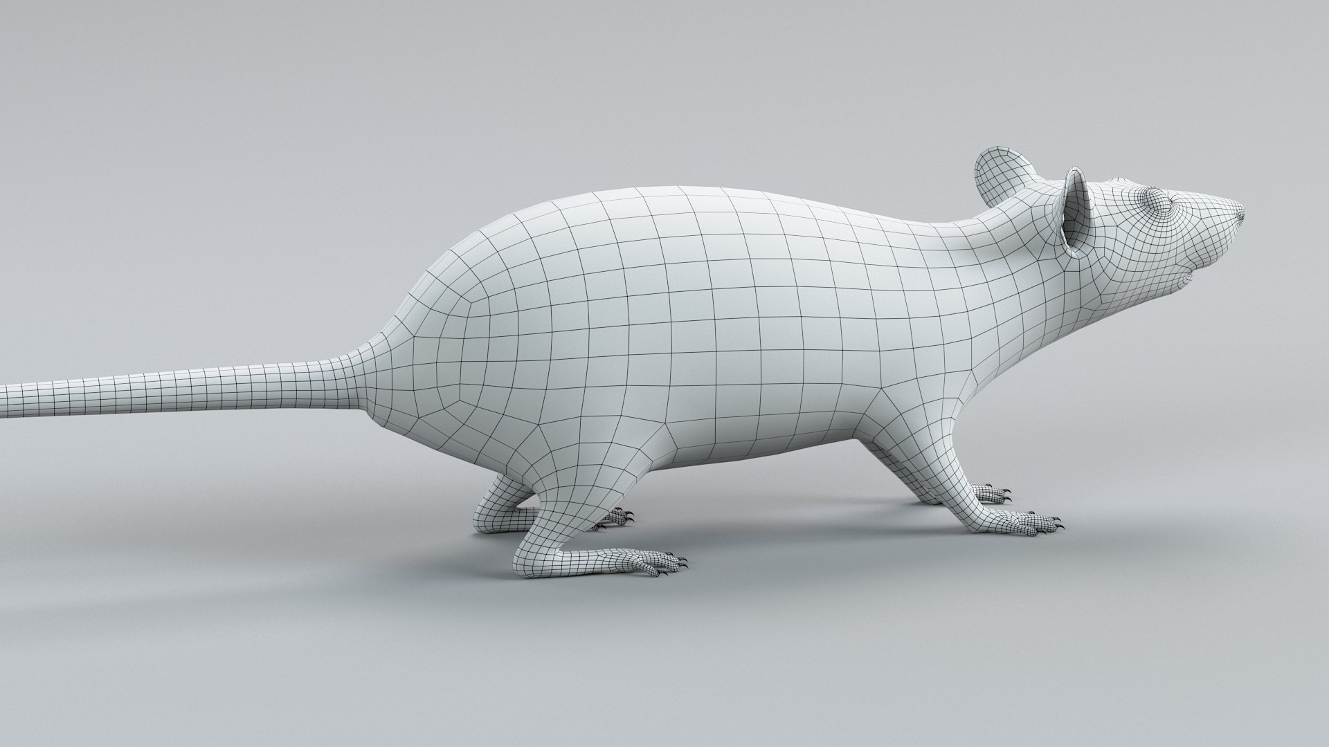 3D Norway Rat Static Xgen https://p.turbosquid.com/ts-thumb/IC/X1a8sx/Zn/norway_rat_static_24/jpg/1741614837/1920x1080/fit_q87/f95c6317fc9712bd5aa50ad7217ccc2869ebb7a2/norway_rat_static_24.jpg