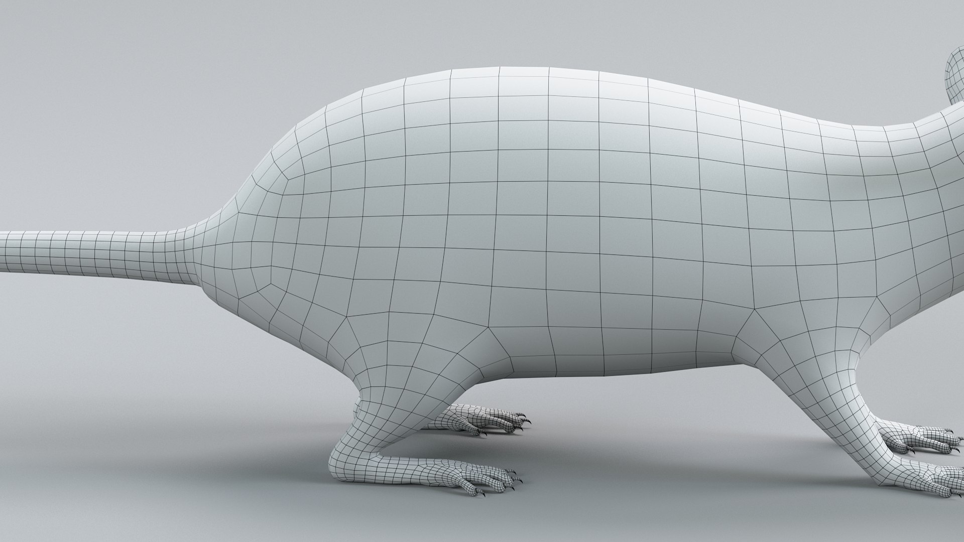 3D Norway Rat Static Xgen https://p.turbosquid.com/ts-thumb/IC/X1a8sx/hX/norway_rat_static_31/jpg/1741614848/1920x1080/fit_q87/acb31af5ecb3e62aa477a331a50b1bf0aad99cb2/norway_rat_static_31.jpg