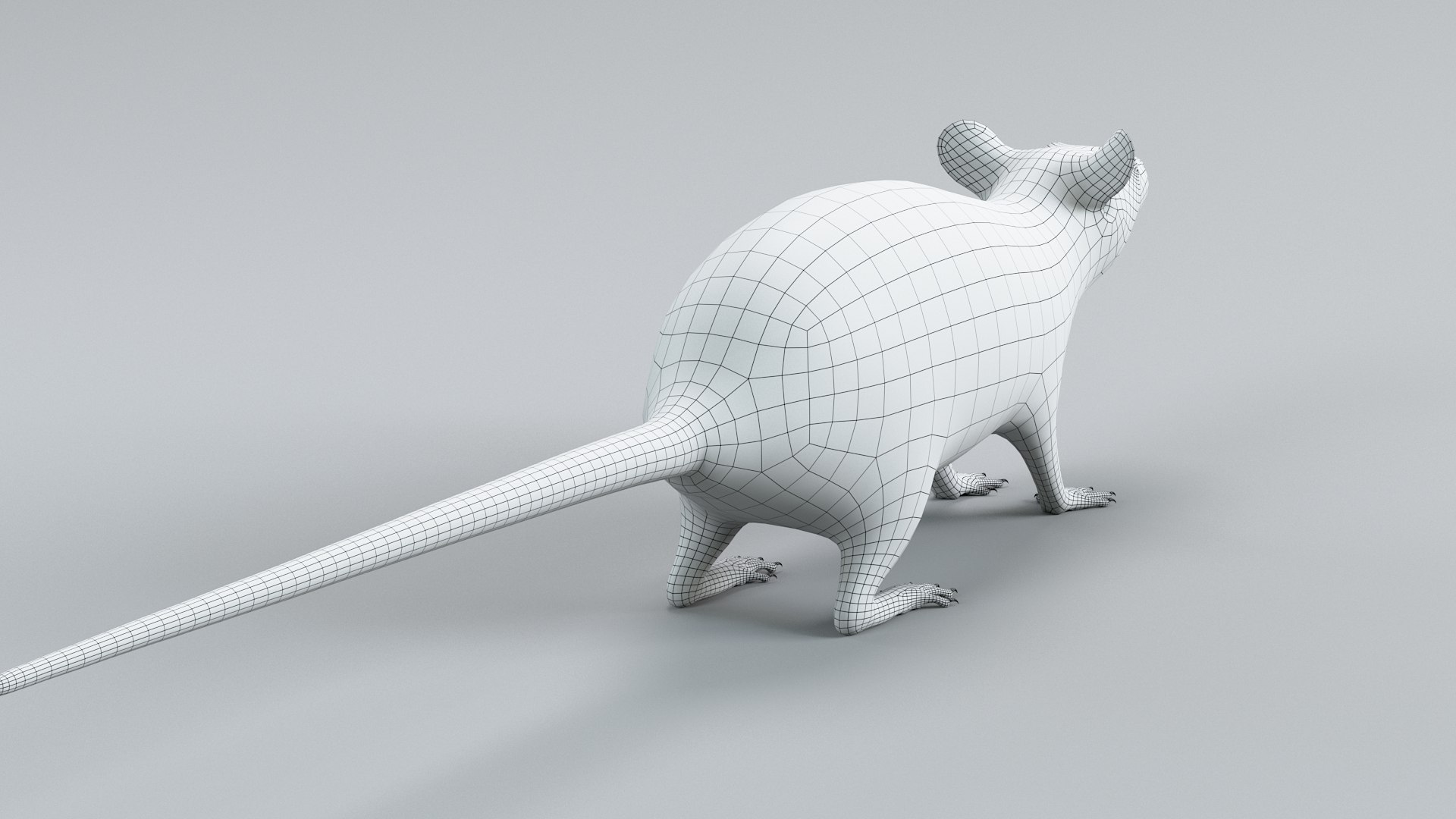3D Norway Rat Static Xgen https://p.turbosquid.com/ts-thumb/IC/X1a8sx/uk/norway_rat_static_25/jpg/1741614839/1920x1080/fit_q87/96c744f52fc421a78c434c6a40e869709a0cfdc4/norway_rat_static_25.jpg