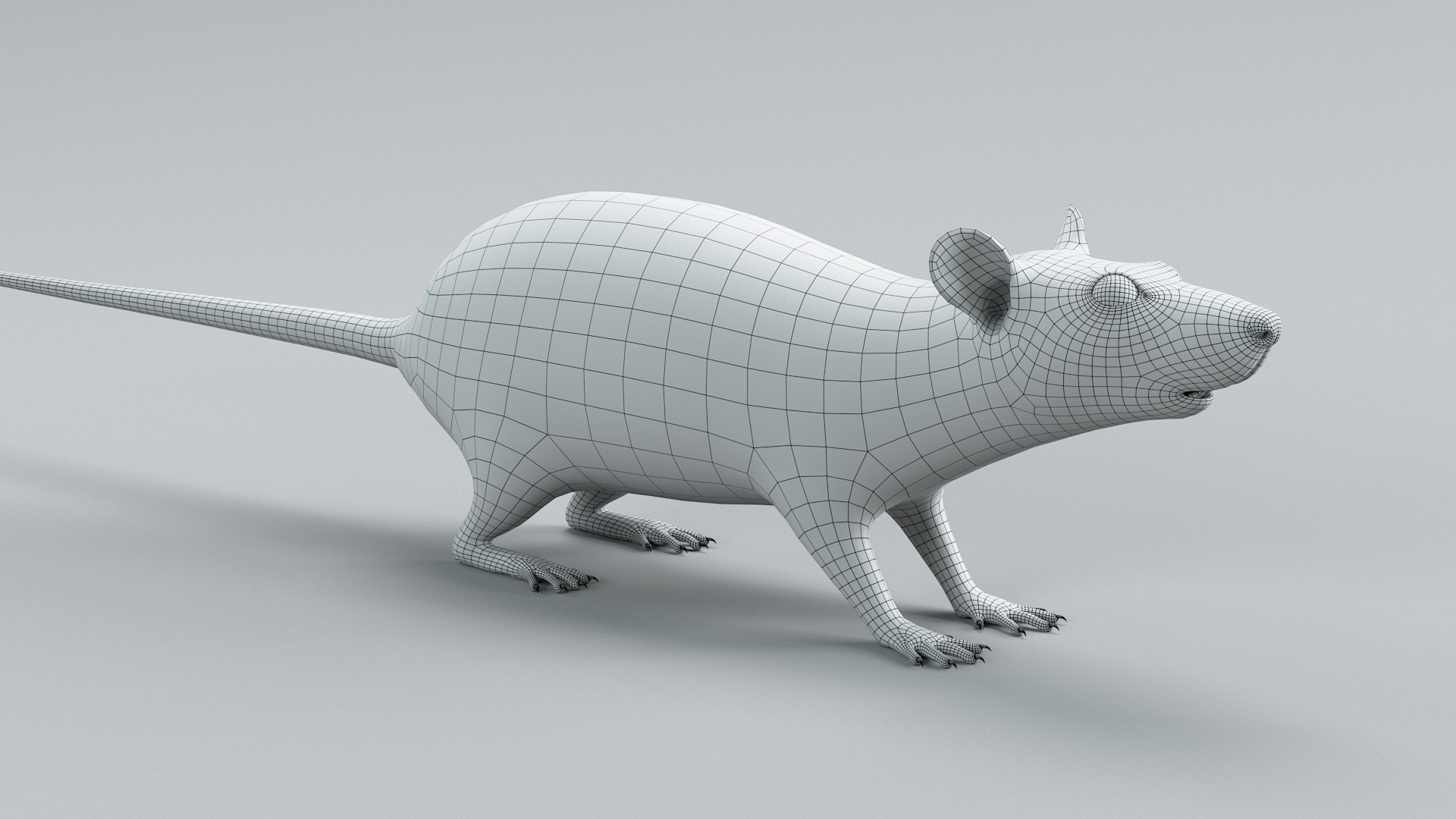3D Norway Rat Static Xgen https://p.turbosquid.com/ts-thumb/IC/X1a8sx/yQ/norway_rat_static_22/jpg/1741614835/1920x1080/fit_q87/298c36cfa1efc9258cbd7982b9ab02200794b8fa/norway_rat_static_22.jpg
