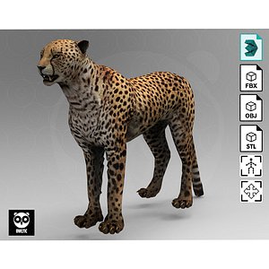 Cheetah - Rigged - Animated