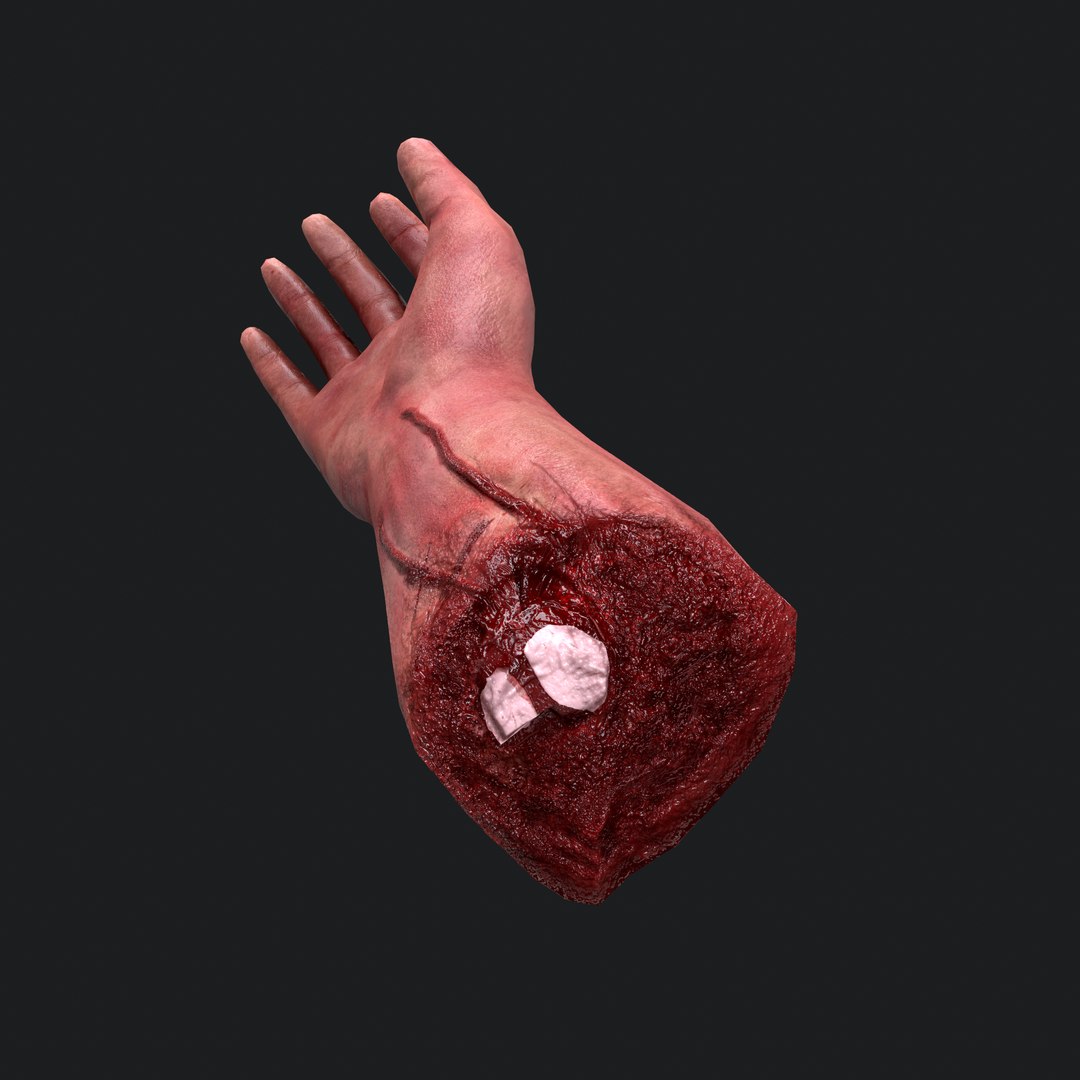 severed arm 3D model https://p.turbosquid.com/ts-thumb/IC/e1EKsH/KipbOAsB/2/png/1553993618/1920x1080/fit_q87/4f80268144225efbfdcbe6177522f7f24b5ce104/2.jpg