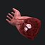 Severed Arm