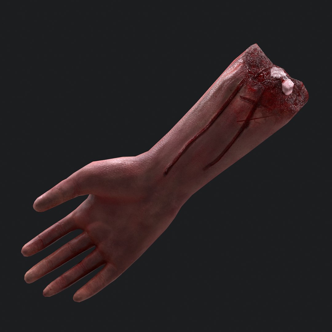 severed arm 3D model https://p.turbosquid.com/ts-thumb/IC/e1EKsH/j0IjNGWG/19/png/1553994458/1920x1080/fit_q87/e4ad1afb12fa549970a5354c34c3c9c28eabb2c7/19.jpg