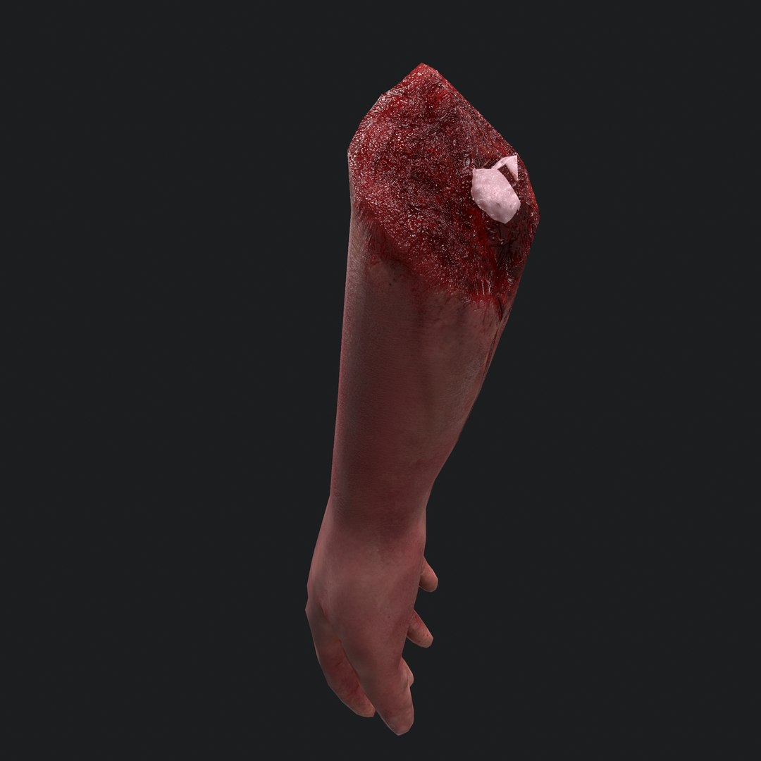 severed arm 3D model https://p.turbosquid.com/ts-thumb/IC/e1EKsH/o3wTuS3O/23/png/1553994578/1920x1080/fit_q87/a31ebbf409a670bbeb694e5ea0a26d70fb3aebd3/23.jpg