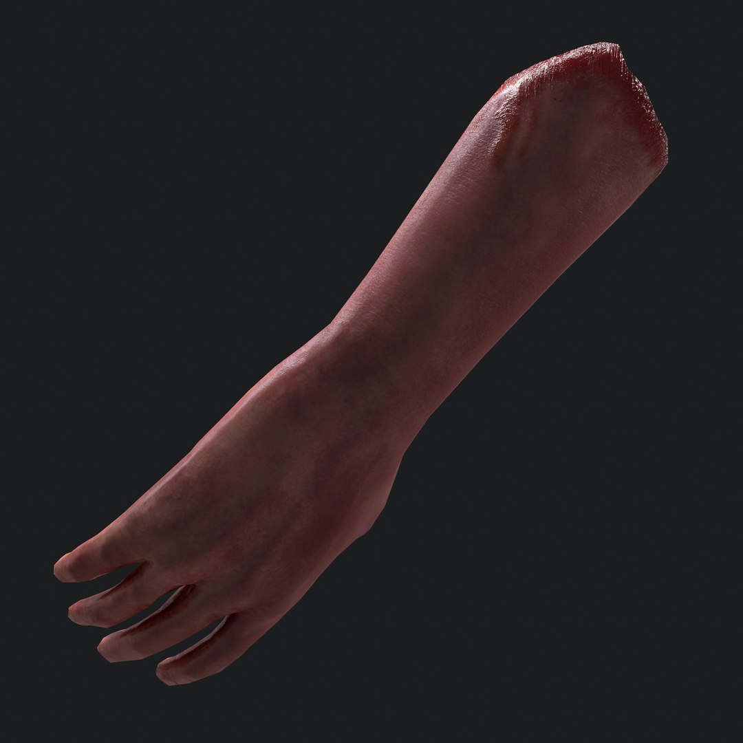 severed arm 3D model https://p.turbosquid.com/ts-thumb/IC/e1EKsH/yrNacp9k/17/png/1553994377/1920x1080/fit_q87/bd35b876595262b7d74814acd25375203a241a9d/17.jpg