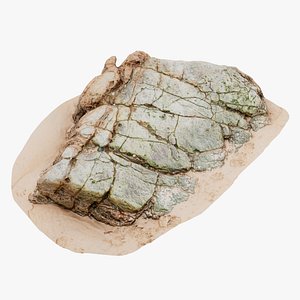Beach Rock Scan 08 16K