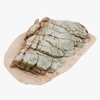 Beach Rock Scan 08 16K