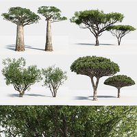 Plants Pack: Africa Trees (+GrowFX)