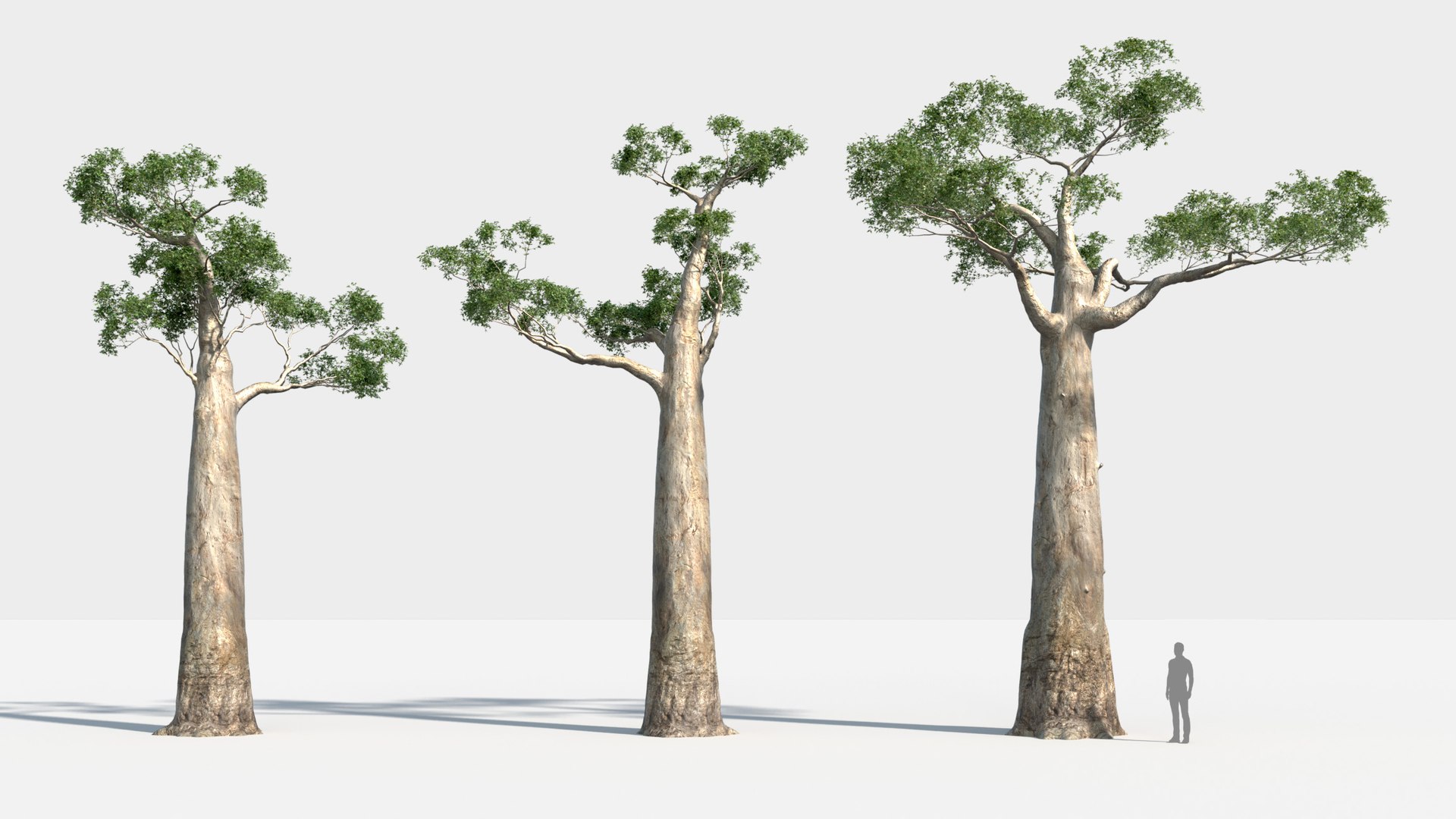 plants africa trees growfx model https://p.turbosquid.com/ts-thumb/ID/0qWPVM/A5FEYqan/africa_trees10/jpg/1582898946/1920x1080/fit_q87/17a01c52f37c400d4fc5b658905796addbff2fa4/africa_trees10.jpg