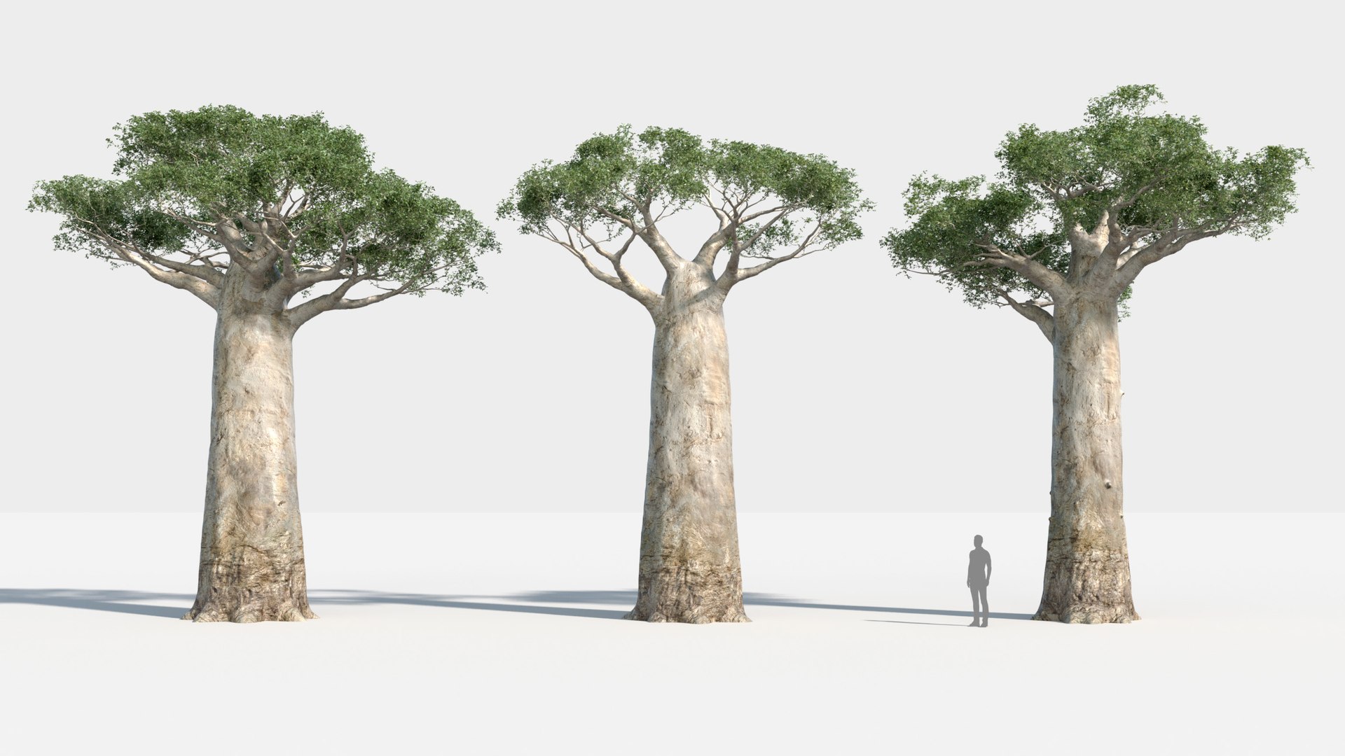 plants africa trees growfx model https://p.turbosquid.com/ts-thumb/ID/0qWPVM/IjElPlF0/africa_trees9/jpg/1582898946/1920x1080/fit_q87/ea9235fcfea5cc2ef78cc1e6bacb06636eec07c4/africa_trees9.jpg