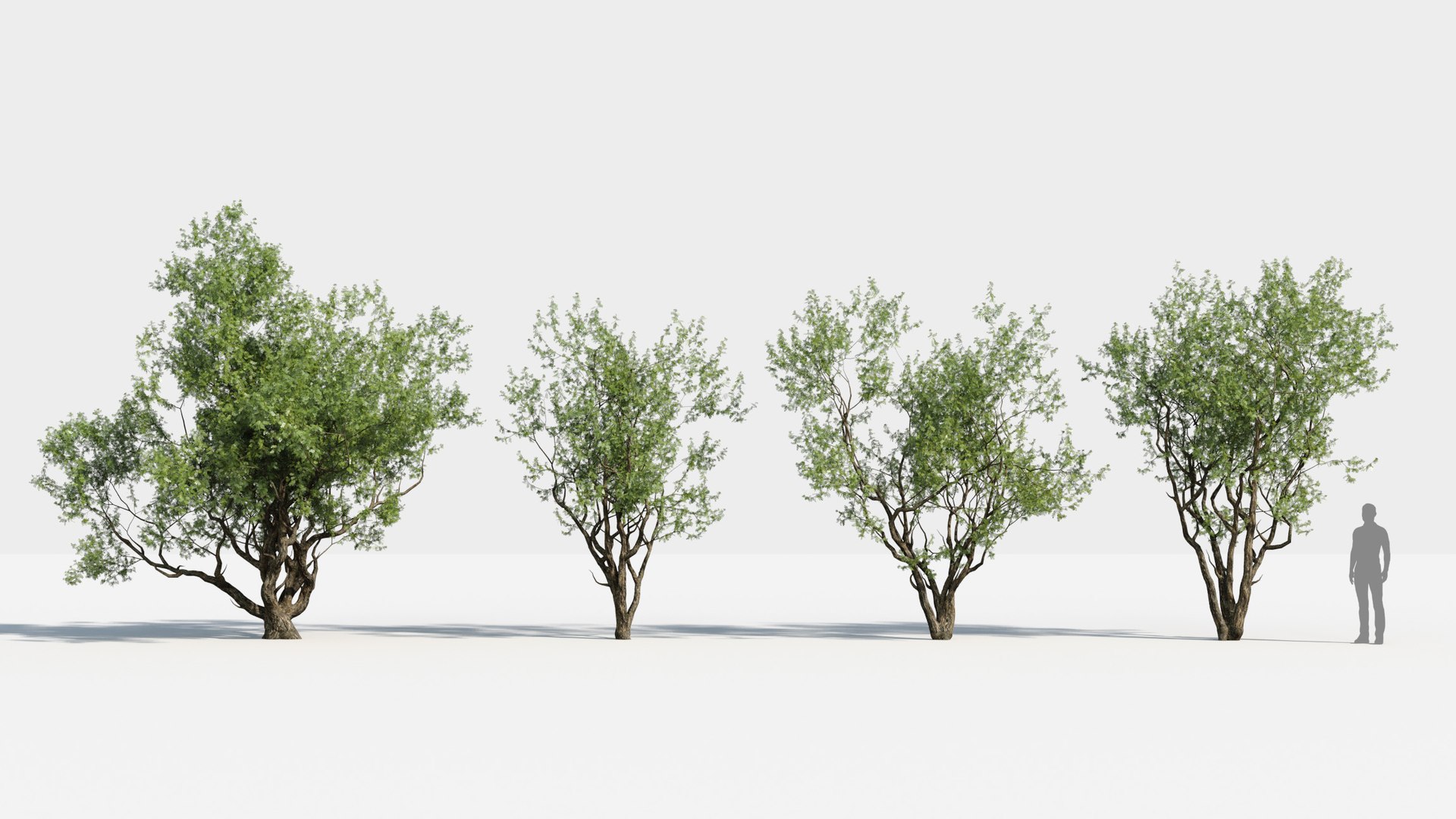 plants africa trees growfx model https://p.turbosquid.com/ts-thumb/ID/0qWPVM/UWCvkhSU/africa_trees3/jpg/1582898915/1920x1080/fit_q87/6e4983f7c1deb41332e1ac0fb224ecc9fa15386c/africa_trees3.jpg