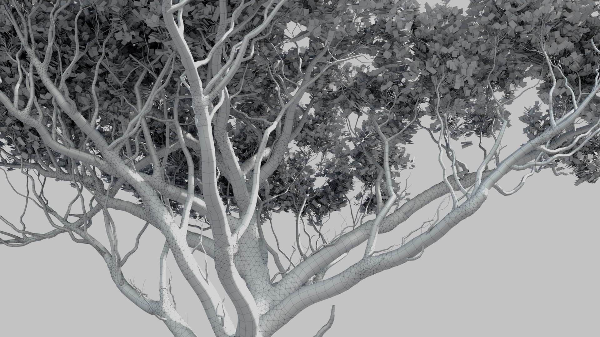 plants africa trees growfx model https://p.turbosquid.com/ts-thumb/ID/0qWPVM/YThVrLqM/africa_trees17/jpg/1582898979/1920x1080/fit_q87/25ad729ef797376aef9663ea2ac72ed5919e9805/africa_trees17.jpg